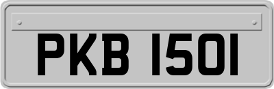 PKB1501
