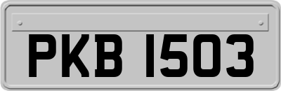 PKB1503