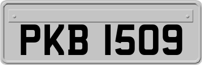 PKB1509