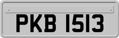 PKB1513