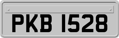 PKB1528