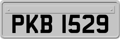 PKB1529