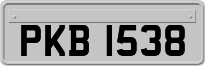 PKB1538