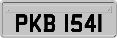 PKB1541
