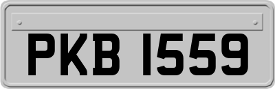 PKB1559