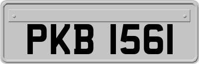 PKB1561