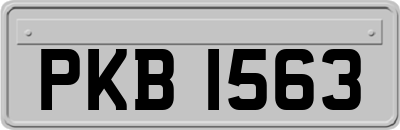 PKB1563