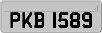 PKB1589