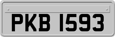 PKB1593