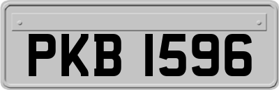 PKB1596