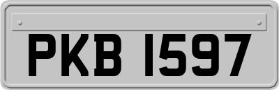 PKB1597
