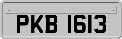 PKB1613
