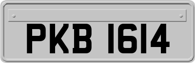 PKB1614