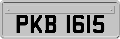 PKB1615