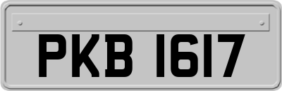 PKB1617