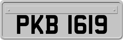 PKB1619