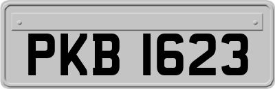 PKB1623
