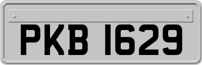 PKB1629
