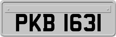 PKB1631