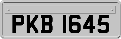 PKB1645