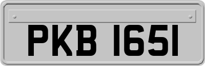 PKB1651