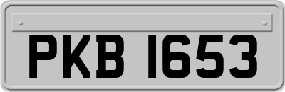 PKB1653