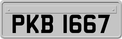 PKB1667