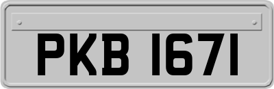 PKB1671