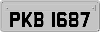 PKB1687