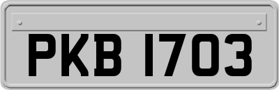 PKB1703