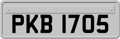 PKB1705