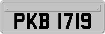 PKB1719