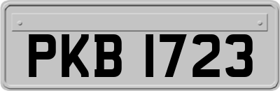 PKB1723