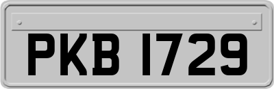 PKB1729