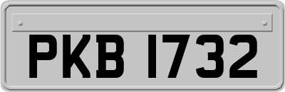 PKB1732