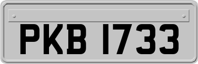 PKB1733