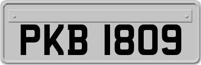 PKB1809