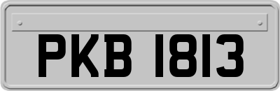 PKB1813
