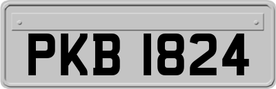 PKB1824