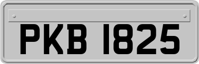 PKB1825