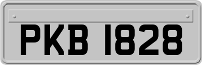 PKB1828