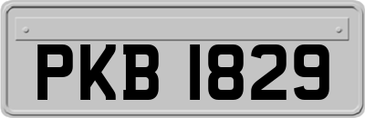 PKB1829