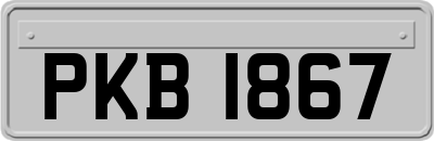 PKB1867