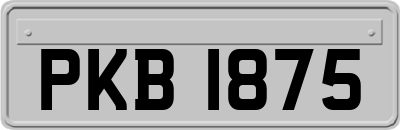 PKB1875