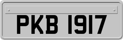 PKB1917