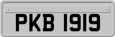 PKB1919