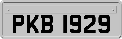 PKB1929