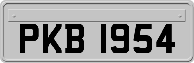 PKB1954