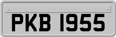 PKB1955