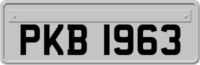 PKB1963